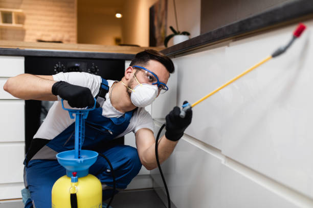 Best Best Pest Control Companies  in Basking Ridge, NJ