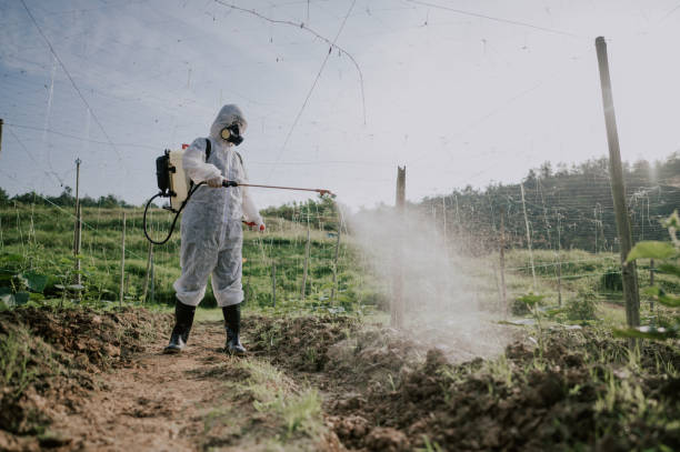 Best Pest Control Treatment  in Basking Ridge, NJ