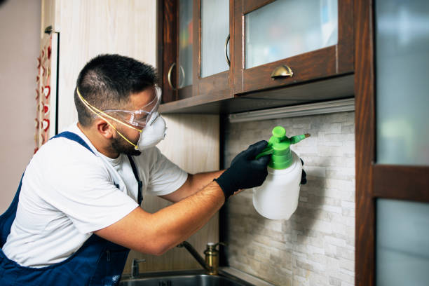 Best Pest Inspection Near Me  in Basking Ridge, NJ