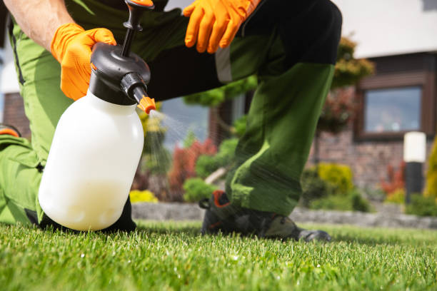 Best Residential Pest Control  in Basking Ridge, NJ