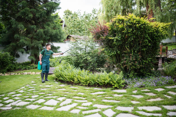 Best Rodent Control Near Me  in Basking Ridge, NJ