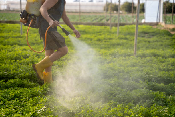 Best Ant Control Services  in Basking Ridge, NJ