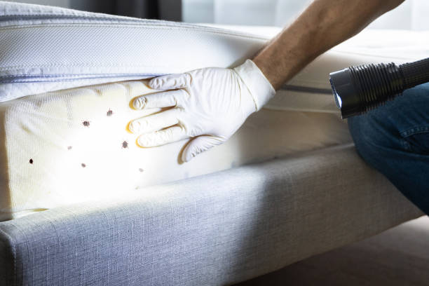 Best Affordable Pest Control Services  in Basking Ridge, NJ