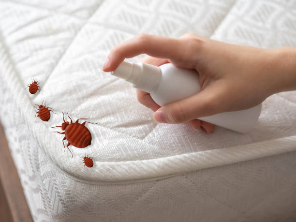 Trusted Basking Ridge, NJ Pest Control Experts