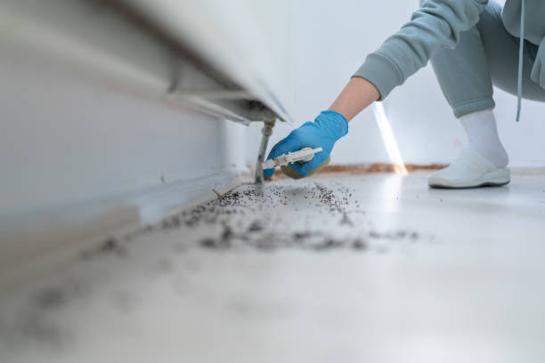 Best Affordable Pest Control Services  in Basking Ridge, NJ