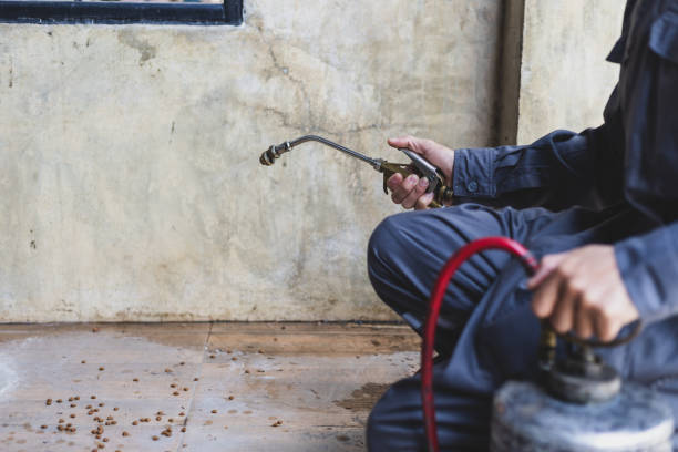 Best Affordable Pest Control Services  in Basking Ridge, NJ