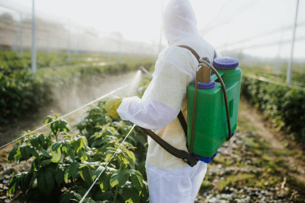 Best Bed Bug Extermination  in Basking Ridge, NJ